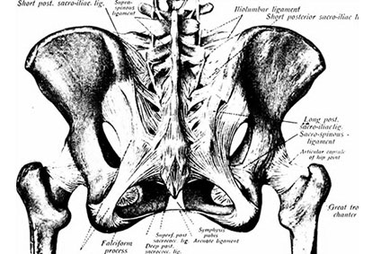 Labral Repair vs. Reconstruction in Hip Arthroscopy: Which Yields Better Long-Term Outcomes?